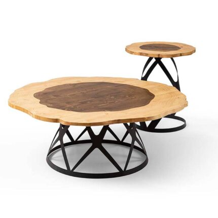 Bien Table Set Of 2 Center And Side Table